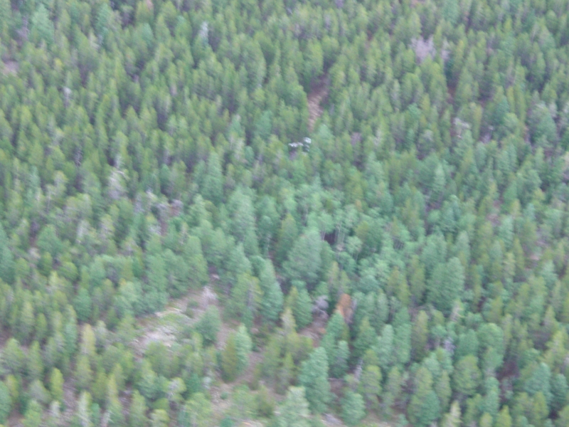 Sortie8_ScenarioB_44