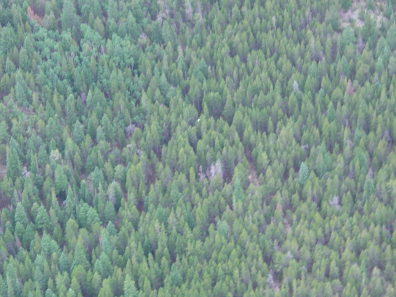 Sortie8_ScenarioB_47