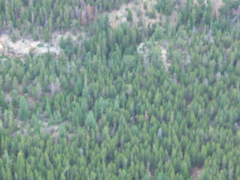 Sortie8_ScenarioB_49