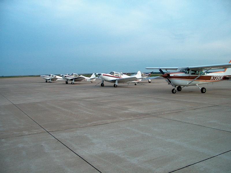 hi-res 362-hays_four_globe_swifts.jpg