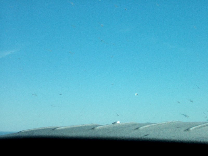 im002555