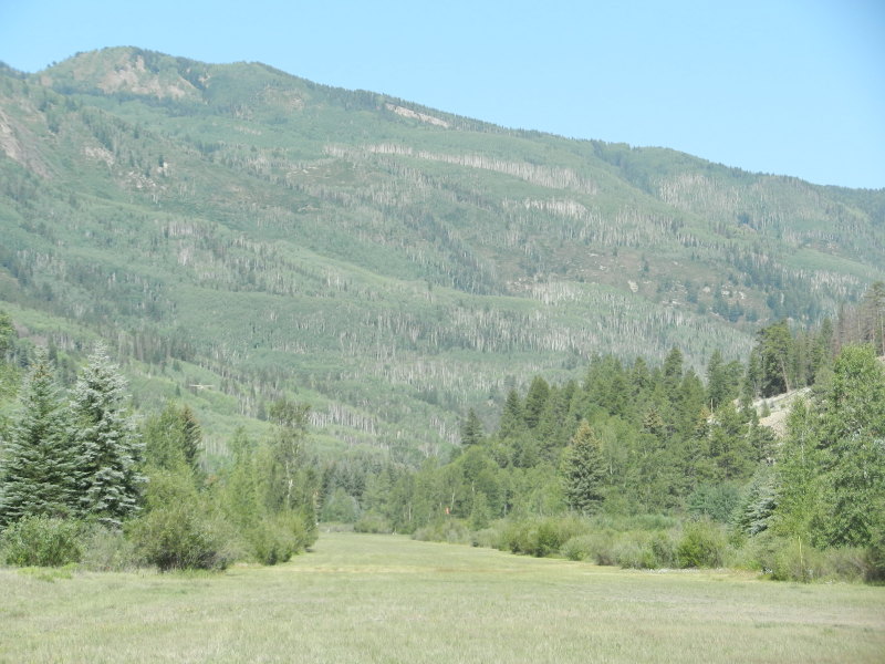 DSCN1467