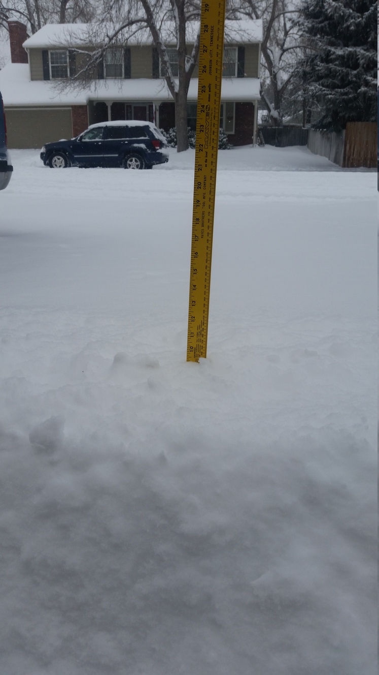 9.5 inches of snow