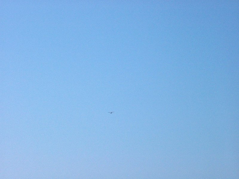 IM001373