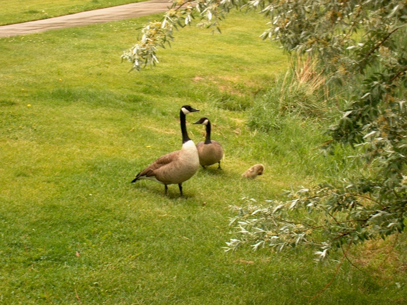 IM001061