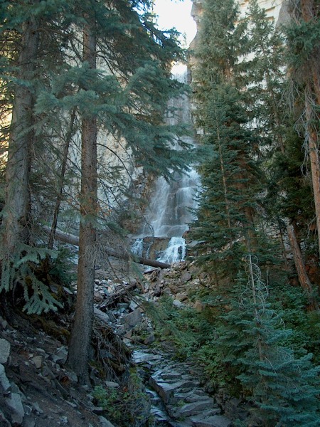 IM002973