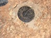 IM003160 IM003160