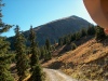 IM003182 IM003182