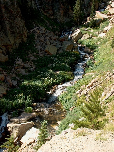 IM003902