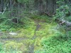 IM004012