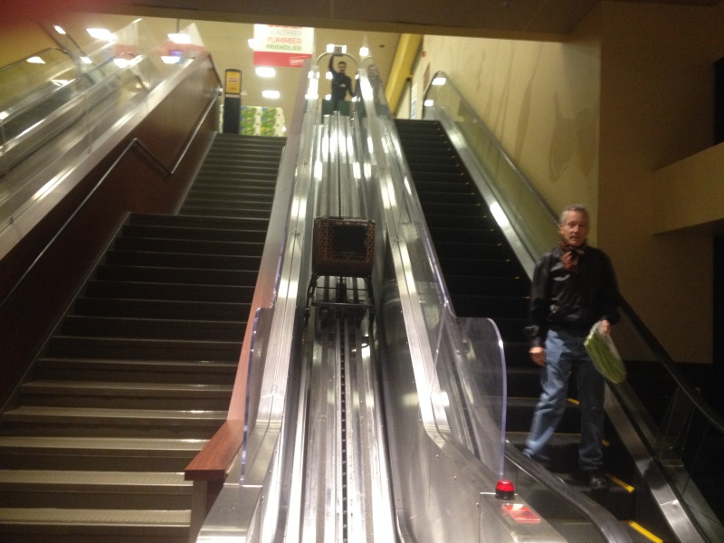 Shopping cart escalator