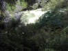 HPIM0243