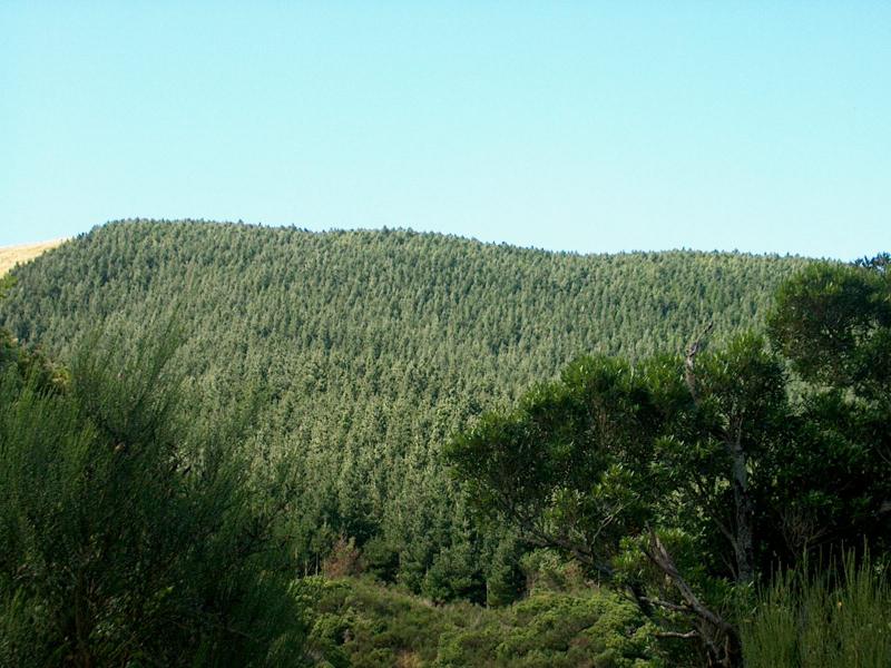 IM003271