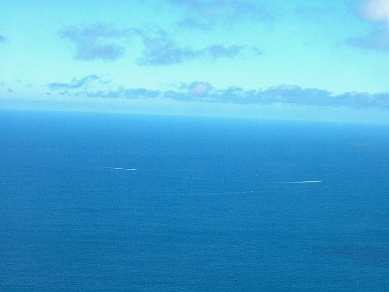 IM003531