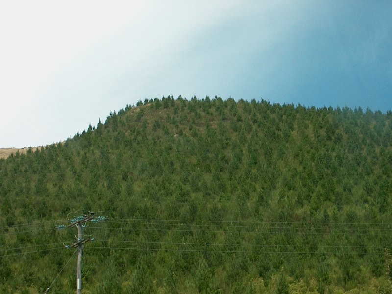 IM003754