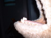 DSCF0026