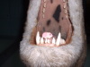 DSCF0027