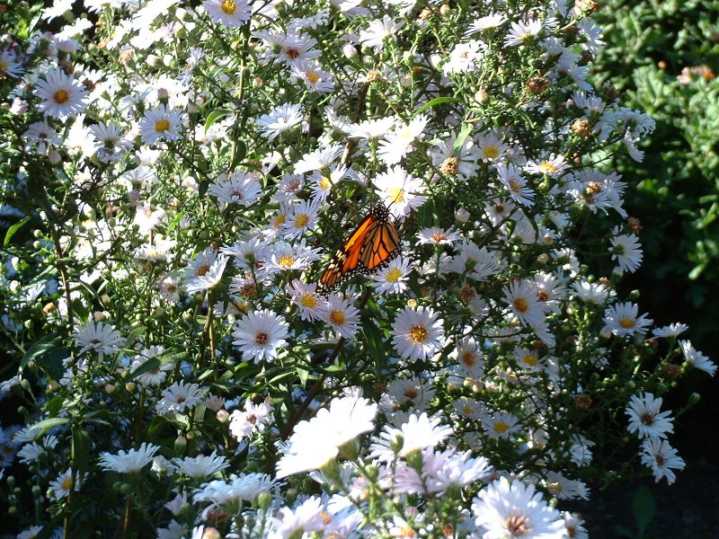 DSCF0140