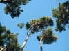 DSCF0106