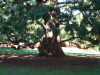 DSCF0111