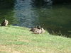 DSCF0113