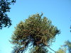 DSCF0141
