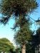 DSCF0142
