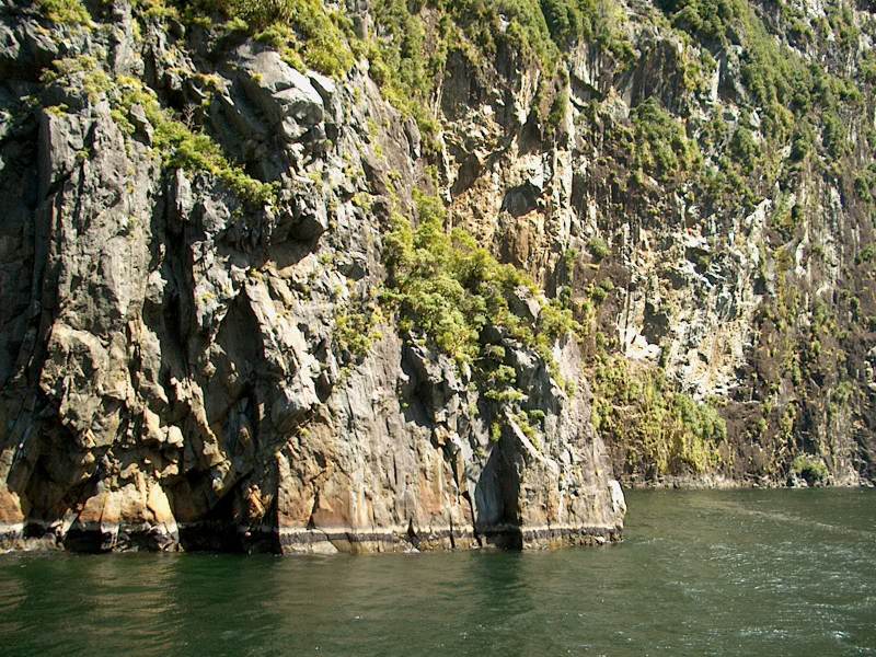 IM004529
