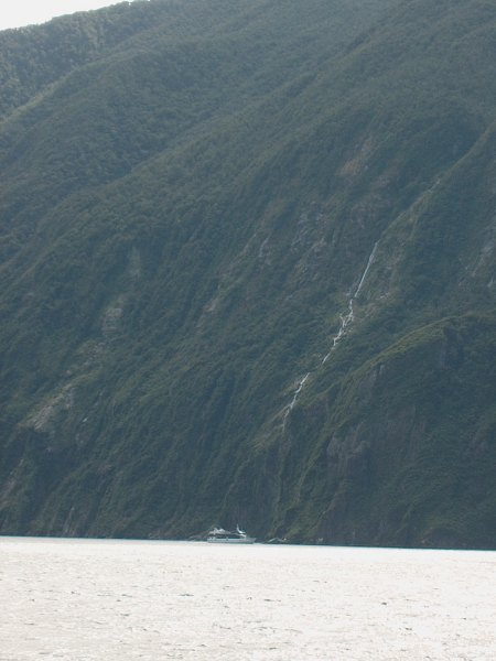 IM004531