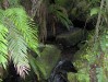 HPIM0563