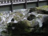 HPIM0575