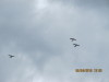 fly-over-002