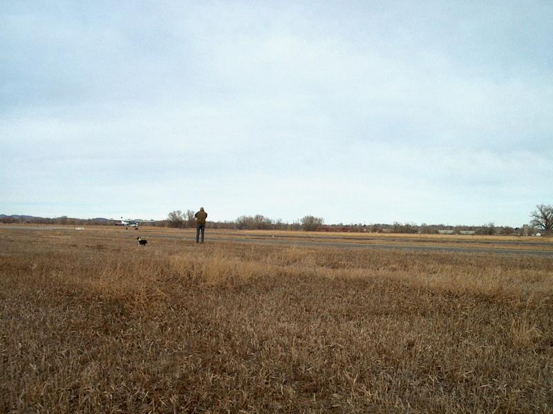 IM001334