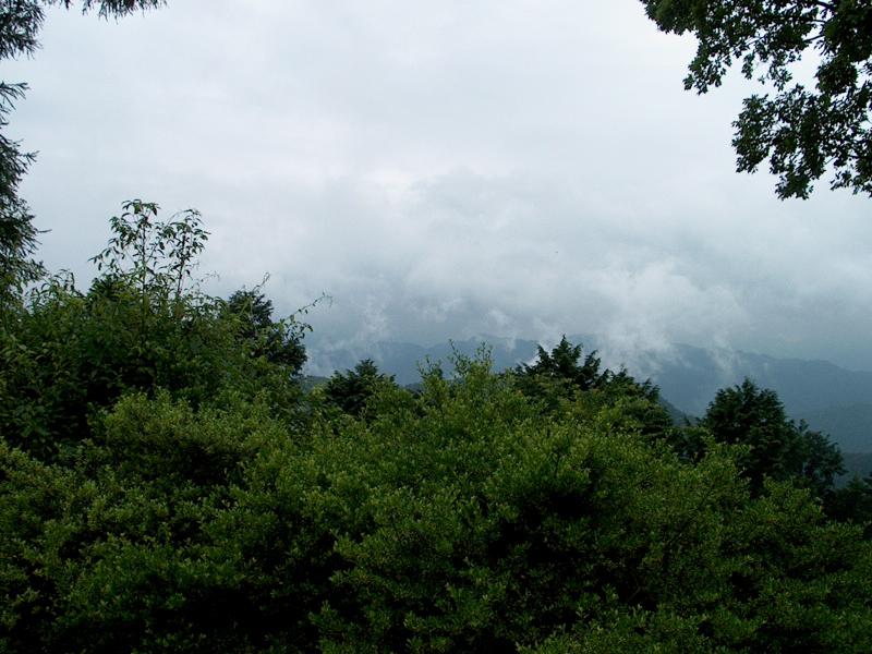 Would be even more beautiful on a clear day, but it wasn't raining so it was very pretty