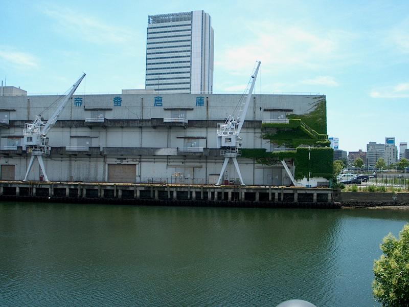 Looks like an abandoned dockyard.  Interesting in that with all the water and humidity, this is the only building I saw with ivy growing on it.