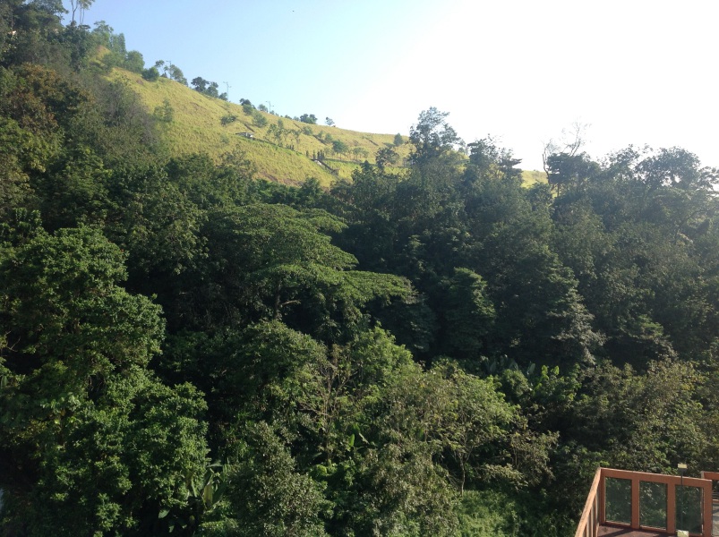 balcony view