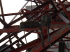 DSCN7177