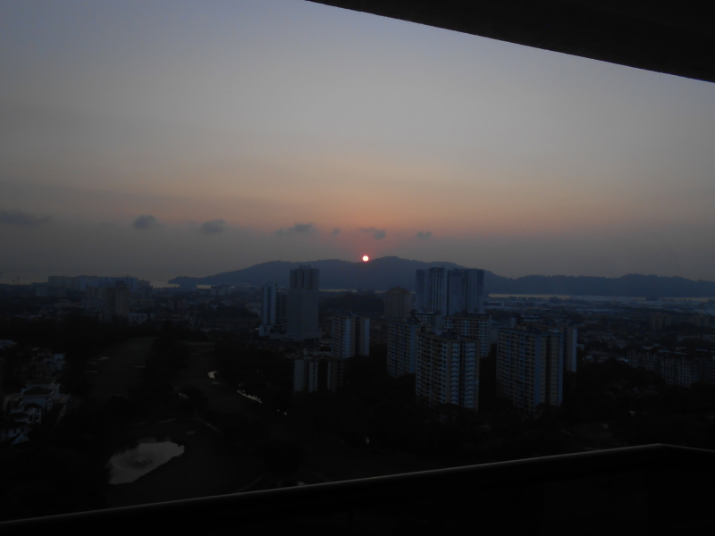 DSCN7235