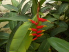 DSCN7239
