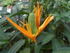 DSCN7241