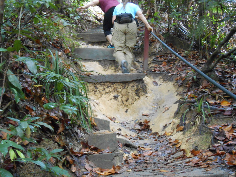 DSCN7281