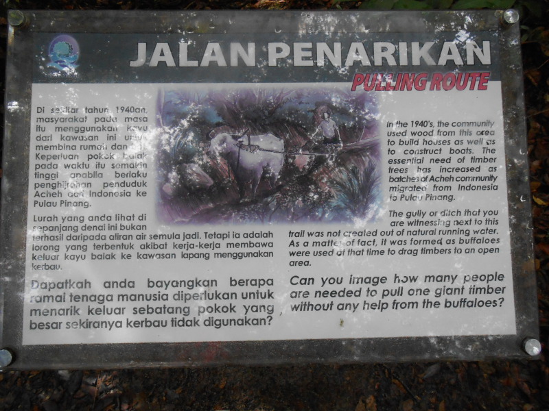 DSCN7283