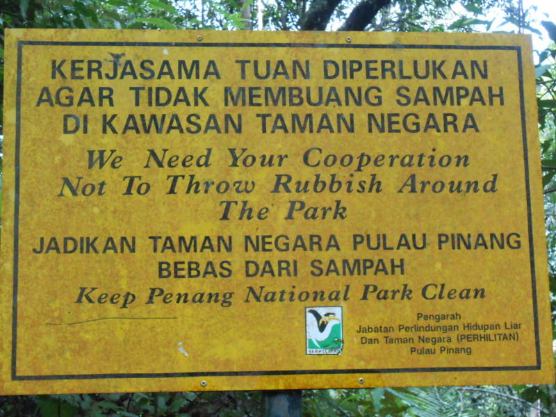 DSCN7296
