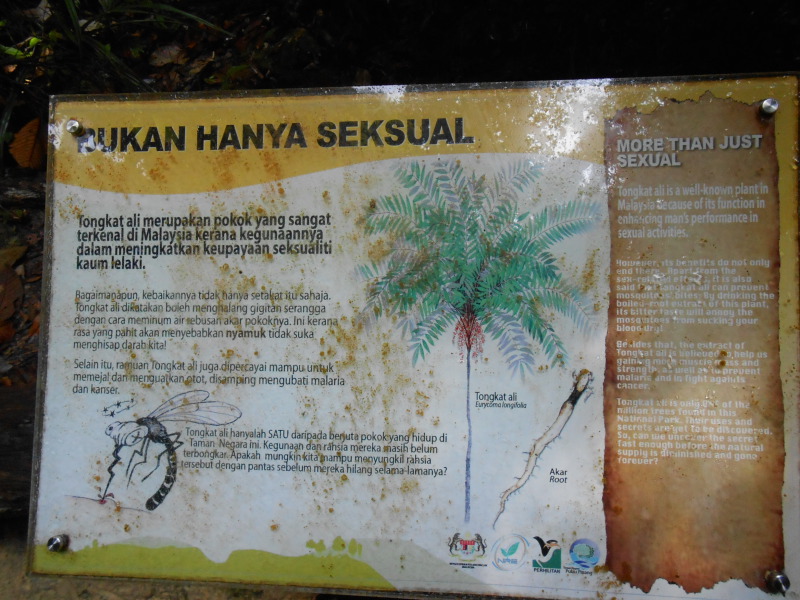 DSCN7313