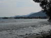 DSCN7267