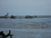DSCN7268