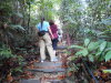 DSCN7279