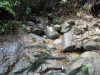 DSCN7294