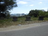 DSCN7438