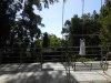 DSCN7469